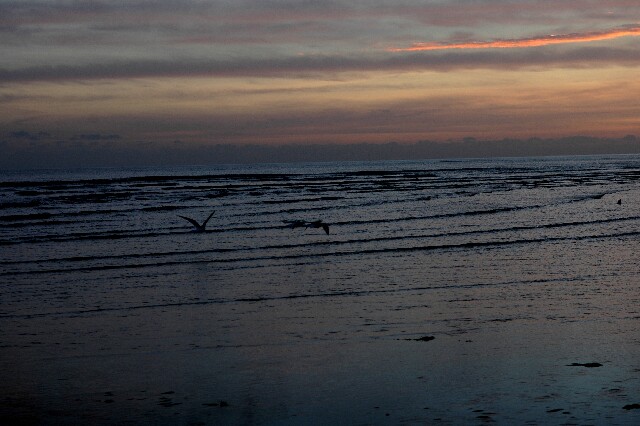 min 2007 11 25 camber plage 070